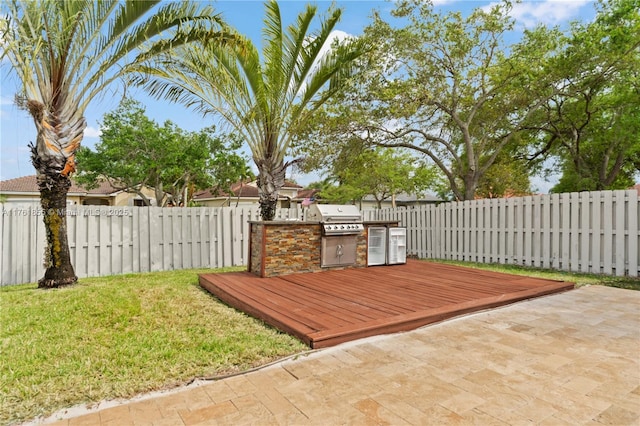 exterior space with a patio area, a fenced backyard, and an outdoor kitchen