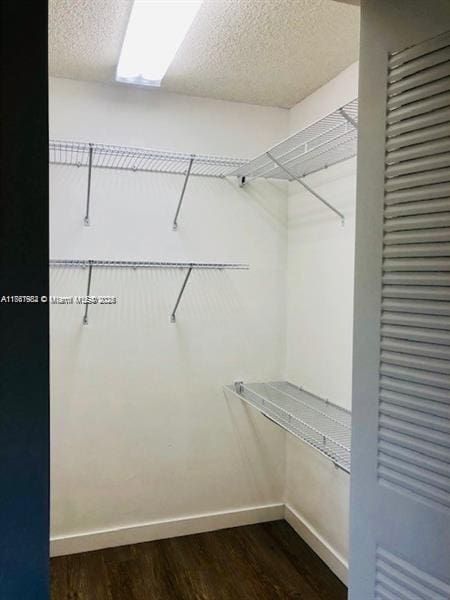 spacious closet with dark wood finished floors