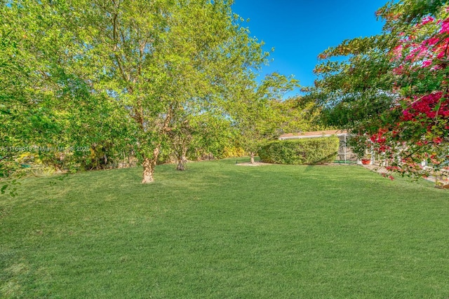 13700 SW 74th Ct, Palmetto Bay, FL 33158 - view of green lawn