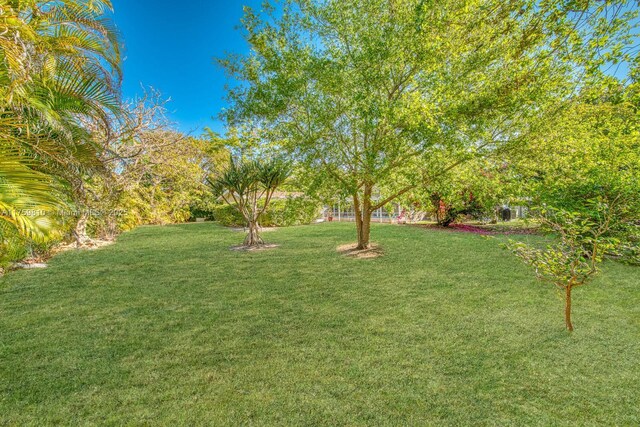 13700 SW 74th Ct, Palmetto Bay, FL 33158 - view of grassy yard