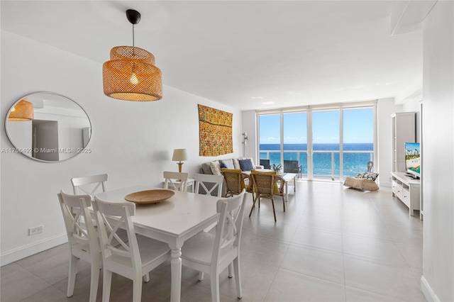 dining area with a wall of windows and baseboards