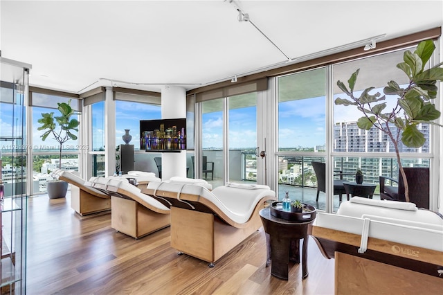 living room featuring a wall of windows, light wood-type flooring, a city view, and a wealth of natural light