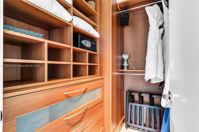 view of spacious closet