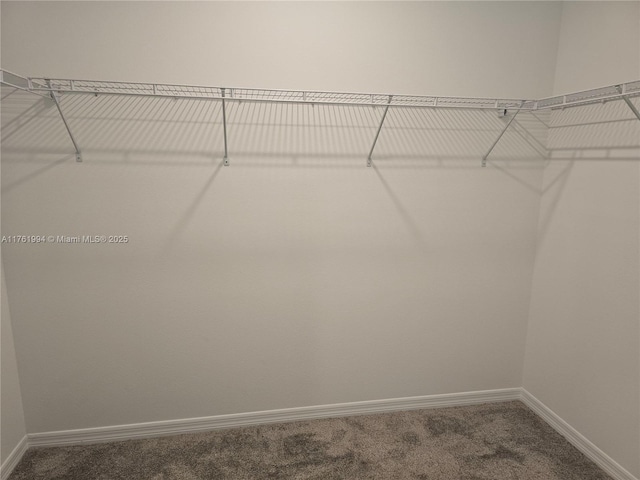 spacious closet with carpet