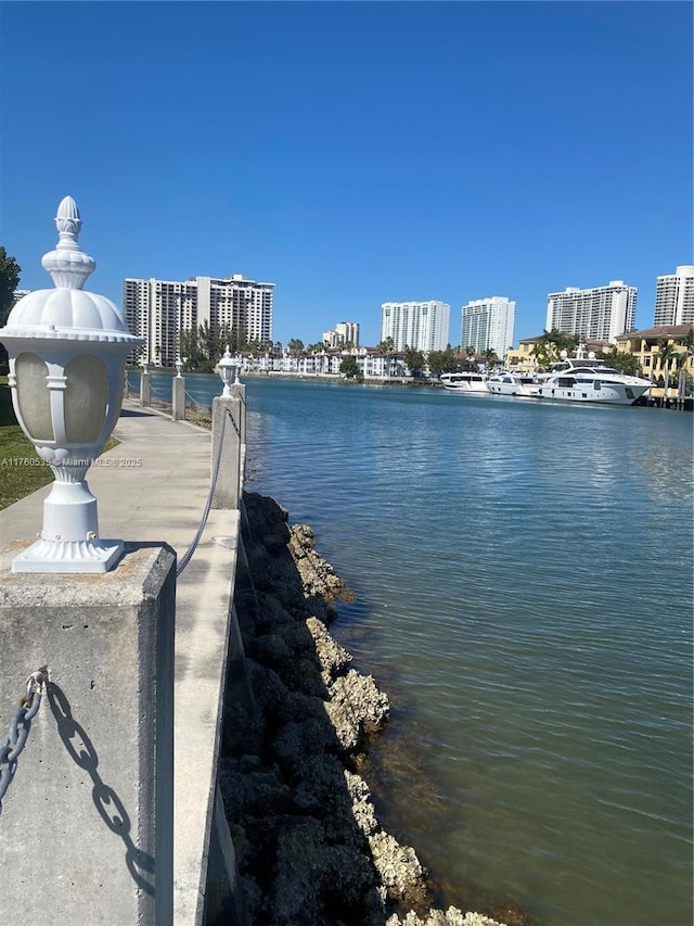 view of water feature featuring a city view