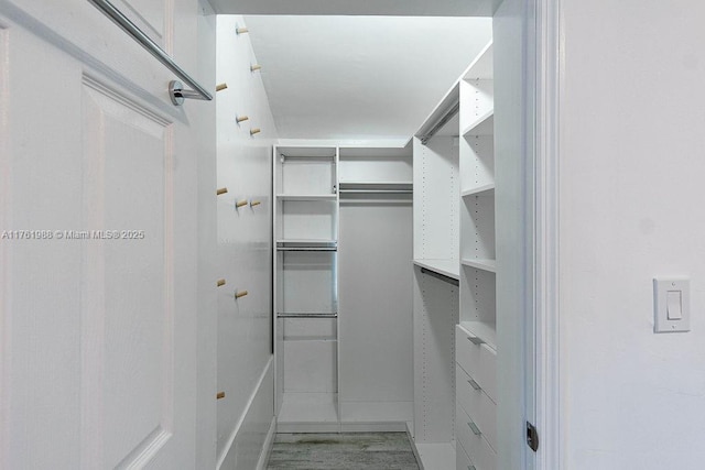 view of spacious closet