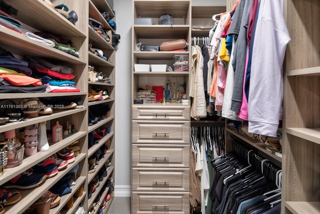 view of spacious closet