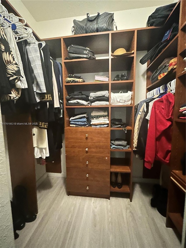 walk in closet with wood finished floors