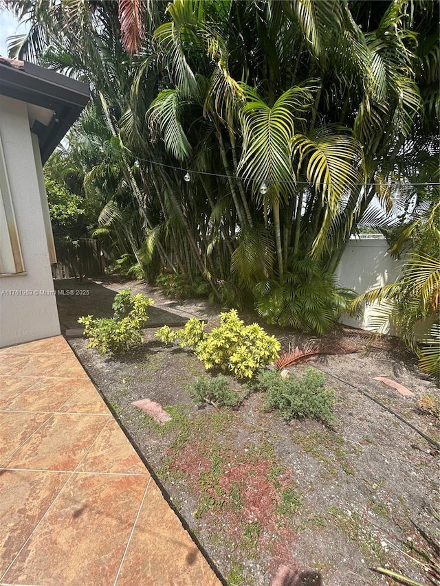 view of yard with a patio area