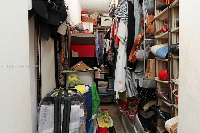 walk in closet featuring wood finished floors