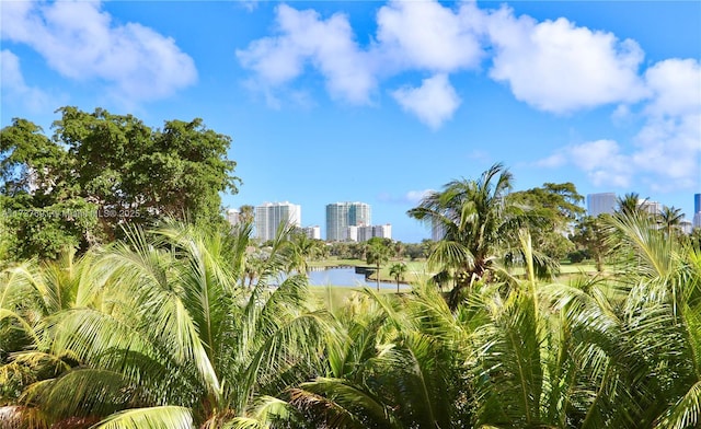 water view