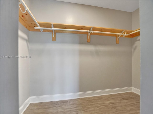 spacious closet featuring wood finished floors