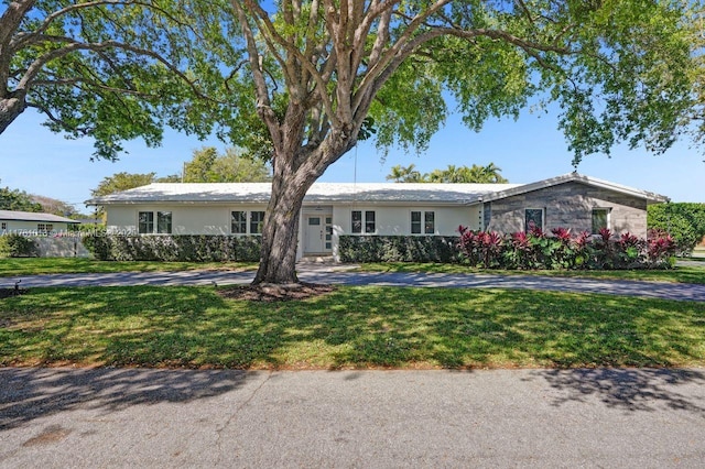 ranch-style home with stucco siding and a front yard