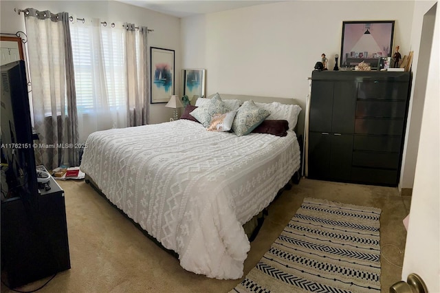 bedroom with carpet