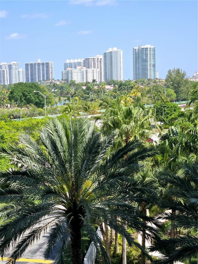 3300 NE 191st St Unit 609, Aventura, FL 33180 - water view with a view of city