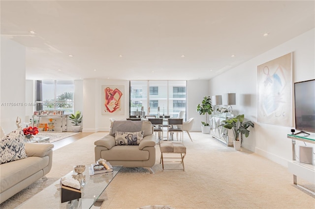 living area featuring baseboards and carpet