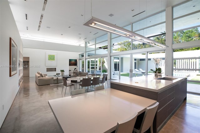 interior space featuring floor to ceiling windows, a healthy amount of sunlight, finished concrete flooring, and a towering ceiling