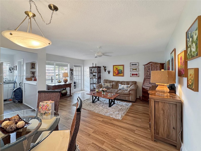 living room with a ceiling fan, wood finished floors, and a textured ceiling