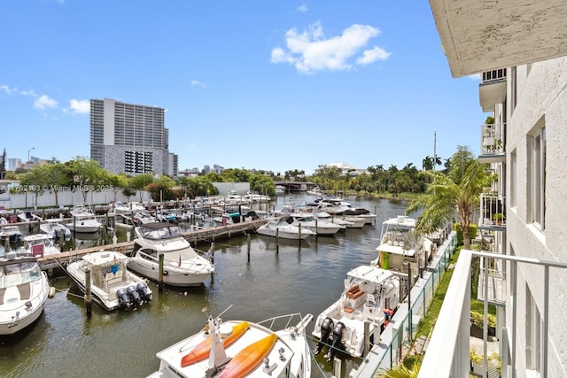 water view featuring a boat dock