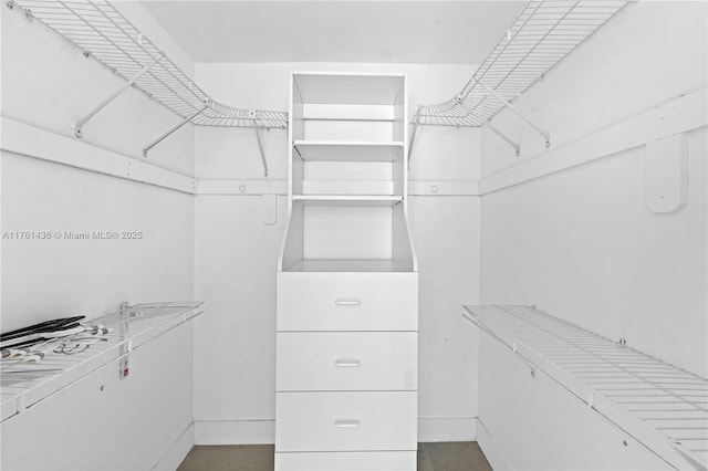 view of walk in closet