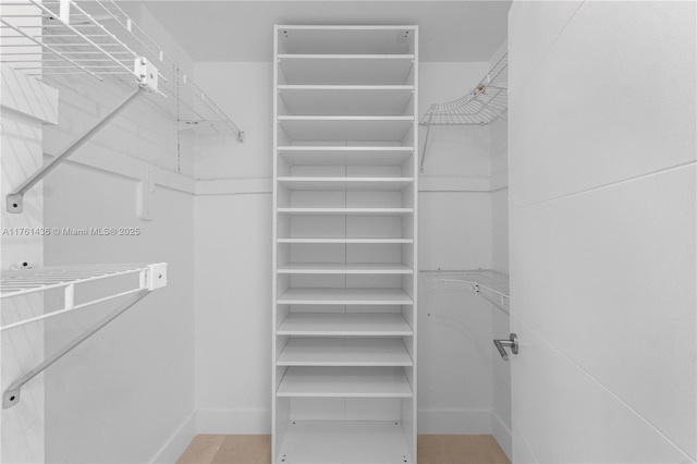 view of walk in closet