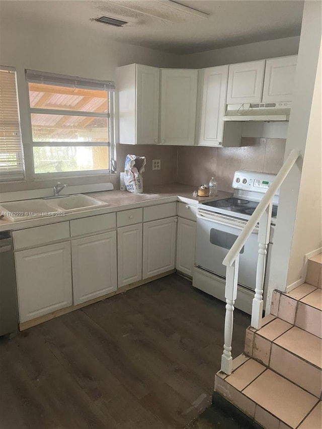 kitchen featuring electric range, under cabinet range hood, a sink, stainless steel dishwasher, and white cabinetry