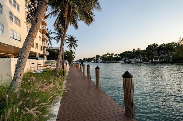 dock area with a water view