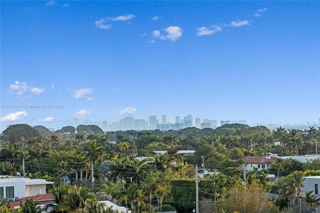 view of mountain feature featuring a view of city