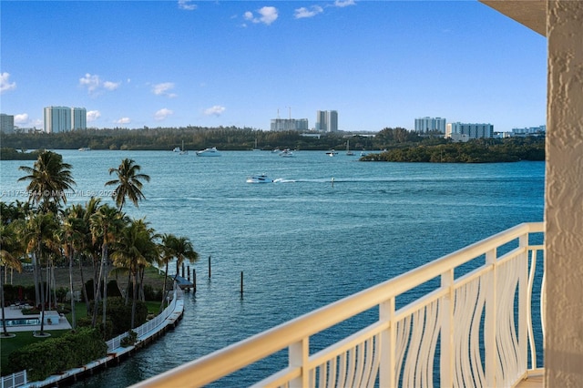 view of water feature with a city view