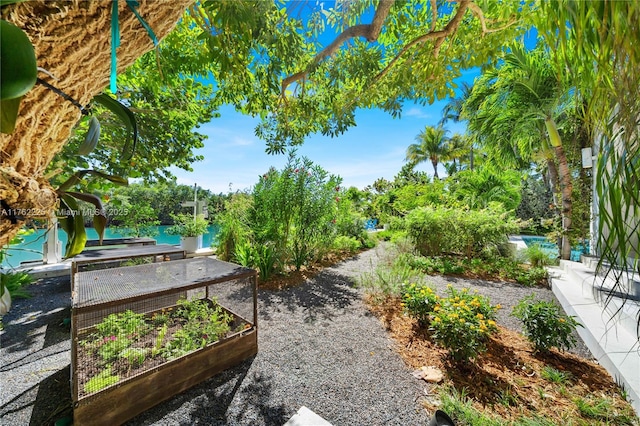 view of community featuring a garden