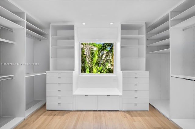 walk in closet with light wood-type flooring