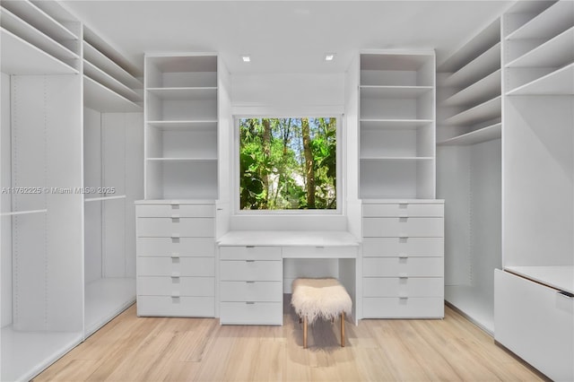 spacious closet featuring light wood-style floors