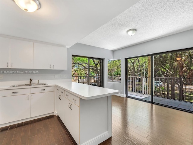 kitchen featuring a sink, dark wood-type flooring, a peninsula, and light countertops