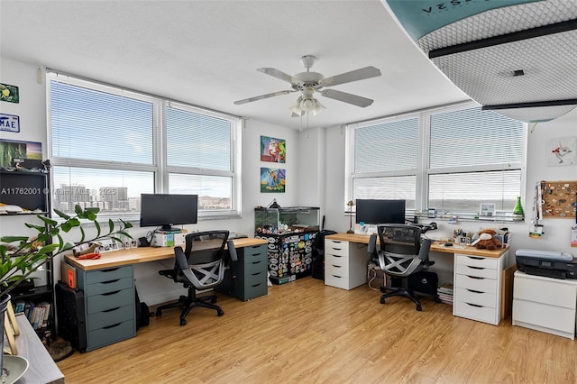 office area featuring light wood-style flooring and a ceiling fan