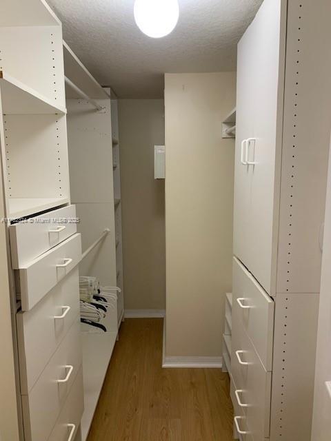 spacious closet featuring light wood finished floors