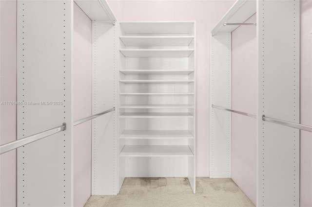 spacious closet featuring carpet flooring