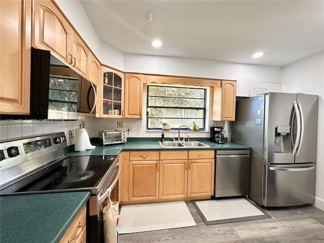 kitchen with a sink, backsplash, dark countertops, wood finished floors, and appliances with stainless steel finishes