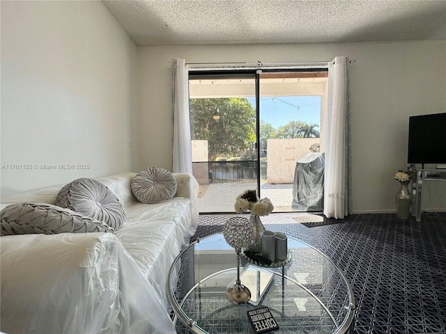 carpeted living area with a textured ceiling