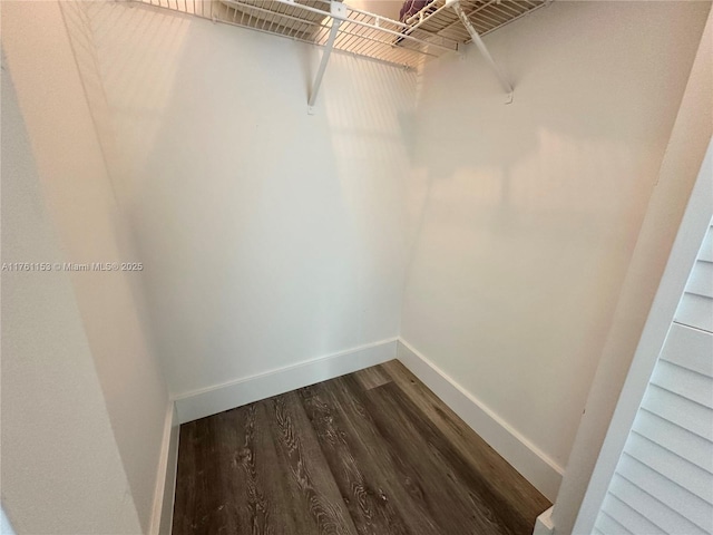 spacious closet with dark wood finished floors