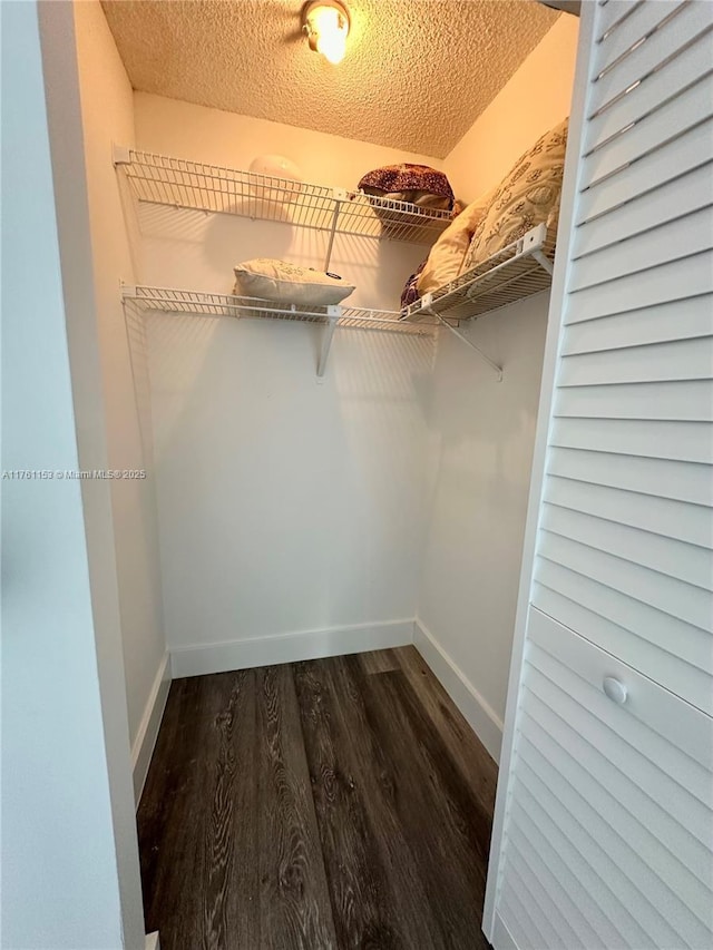 spacious closet featuring dark wood finished floors