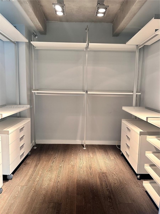 walk in closet featuring dark wood-style floors