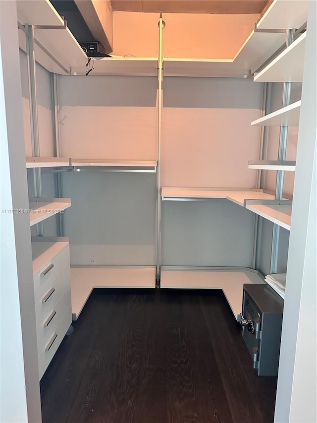 spacious closet with dark wood finished floors