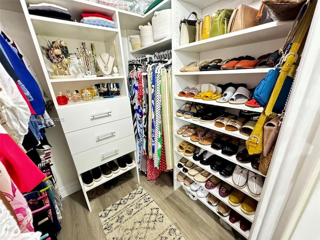 walk in closet featuring wood finished floors