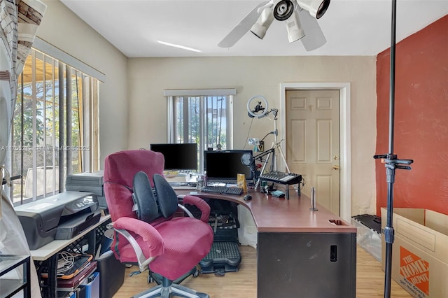 office space featuring wood finished floors and a ceiling fan