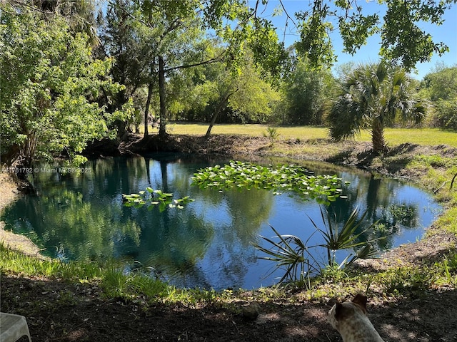 water view