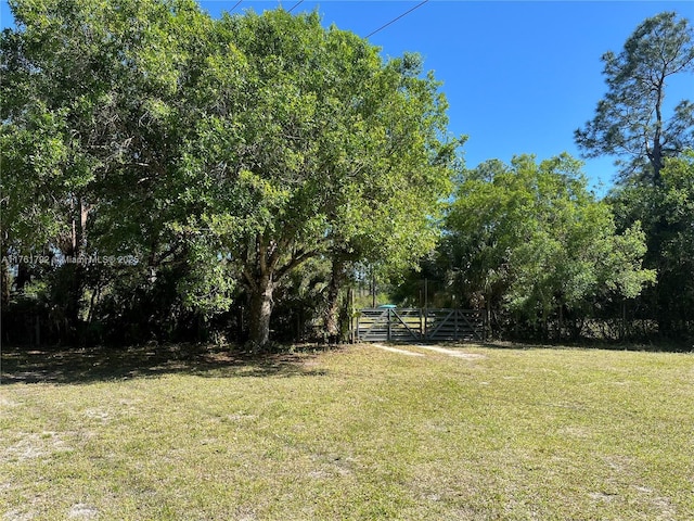 view of yard