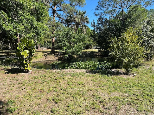 view of yard with a water view