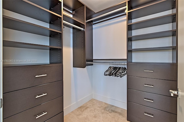 view of walk in closet