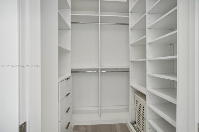 walk in closet with wood finished floors