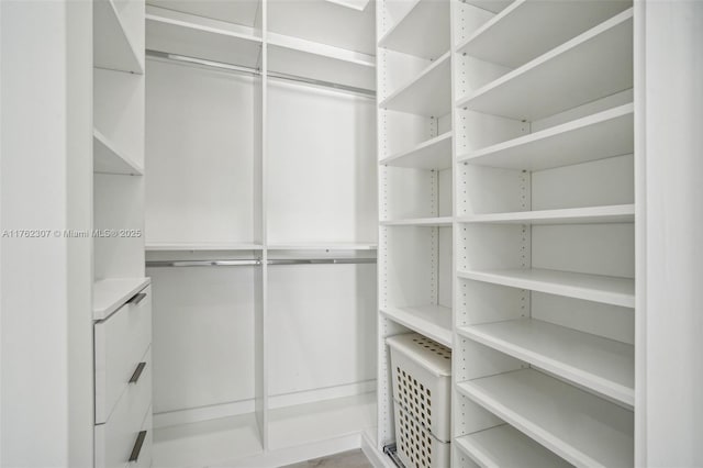 view of spacious closet